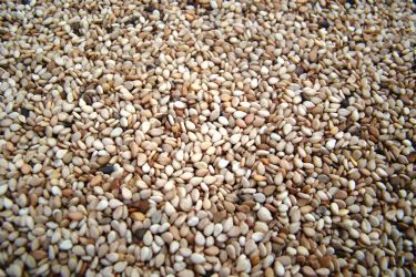 Natural Sesame Seeds